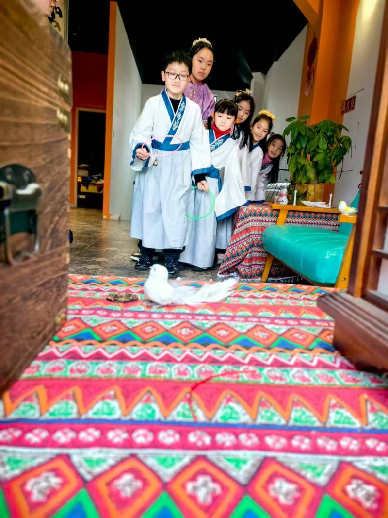 金山区文旅项目策划